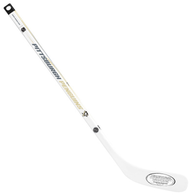 zz_pittsburgh-penguins_mini-comp-player_900x900