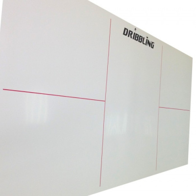 Синтетический-лед-DRIBBLING PRO-STANDART-2