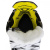 Коньки BAUER SUPREME 3S PRO YTH-8