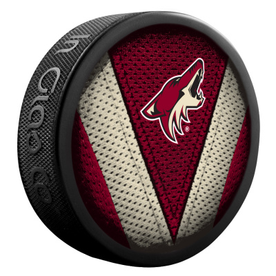 zz_phoenix_coyotes_stitch-900x900