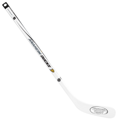 zz_anaheim-ducks_mini-comp-player_900x900