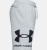 Шорты UNDER ARMOUR RIVAL FLEECE BIG LOGO SR-6